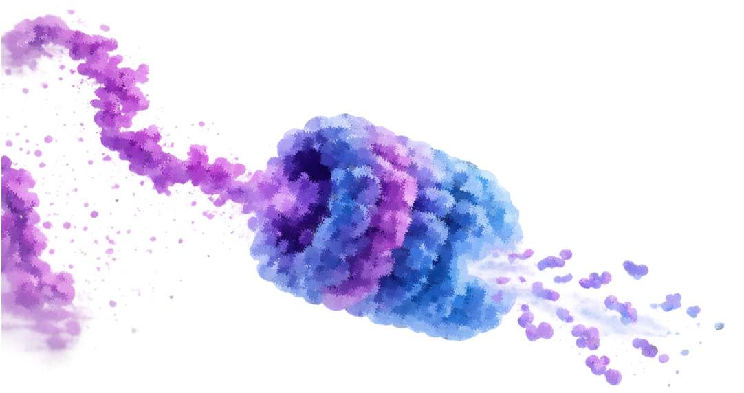 Antigen Processing Prediction Acceleration
