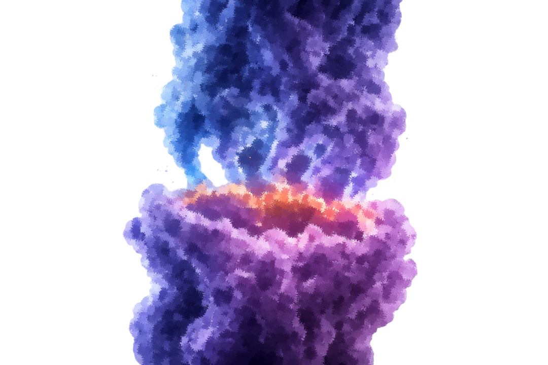 Interpretable TCR-Epitope Prediction